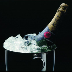 Kostka lodu klarowna 10szt Condor Foto