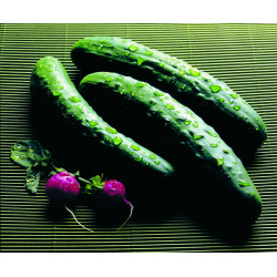 Kropla duża 50ml Condor Foto