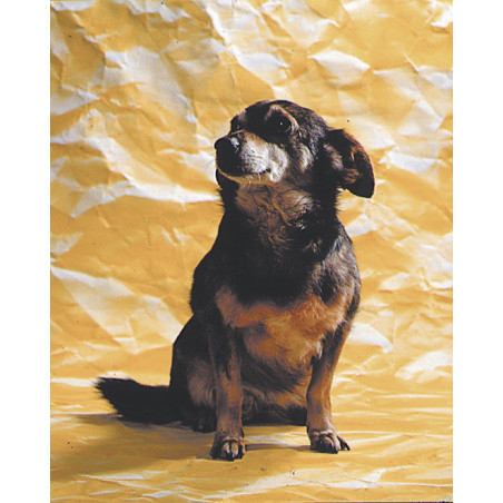 Tło 130x220cm RELIEF YELLOW papierowe