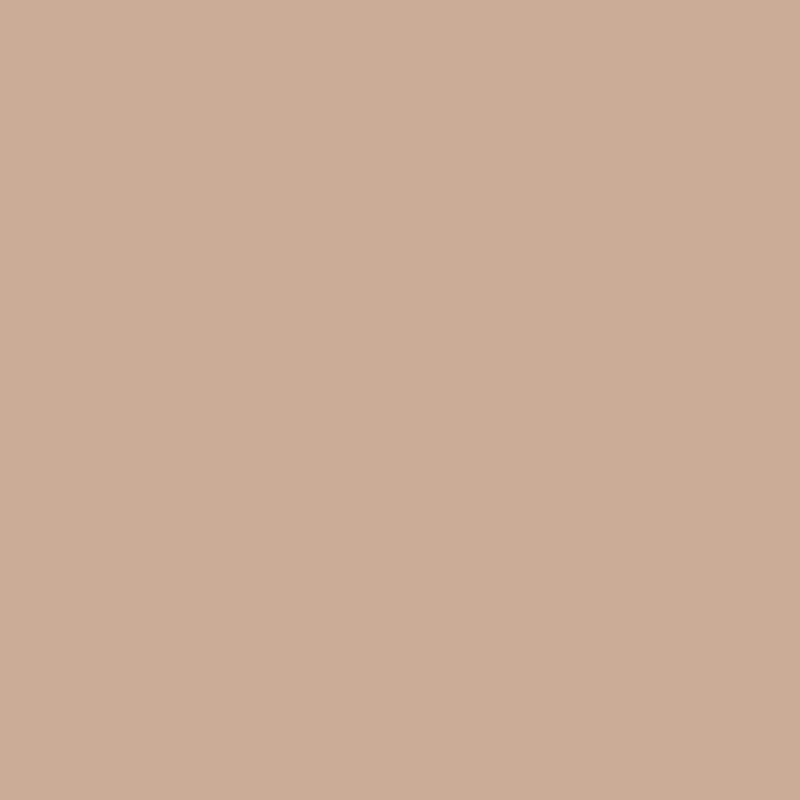 Tło 2,72x11m-NATURAL kartonowe