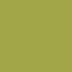 Tło 2,72x11m-PISTACHIO kartonowe