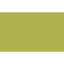 Tło 2,72x11m-PISTACHIO kartonowe