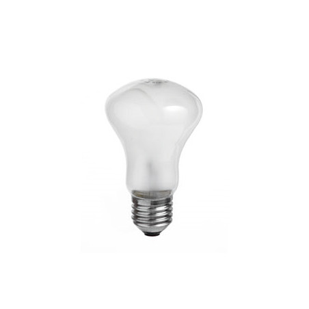 Żarówka kryptonowa 100W 230V 2700Lum E27