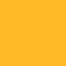 Tło 2,72x11m-MARIGOLD kartonowe